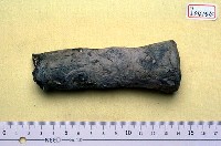藏品(距骨)的圖片